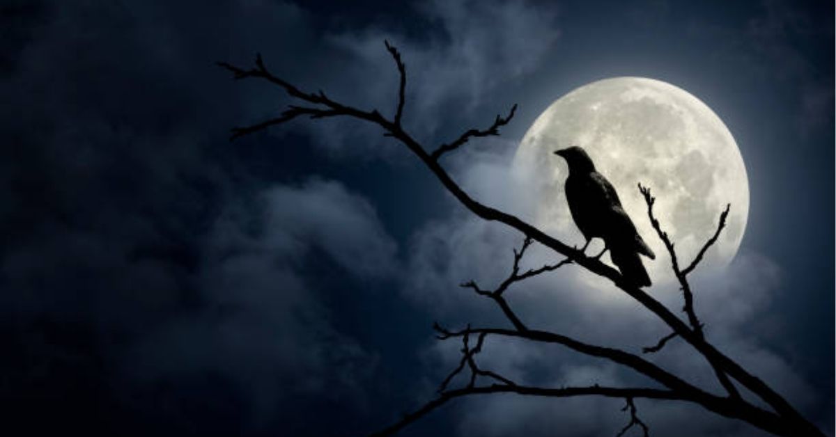 Why do birds chirp at night spiritual meaning