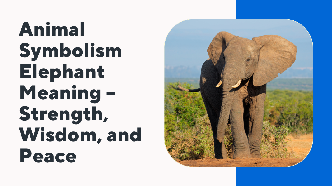 Animal Symbolism Elephant