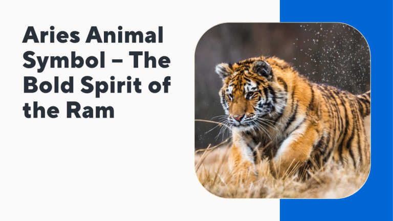 Animal Symbolism Tiger