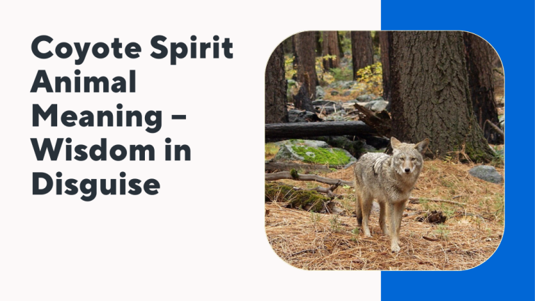 Coyote Spirit Animal Meaning