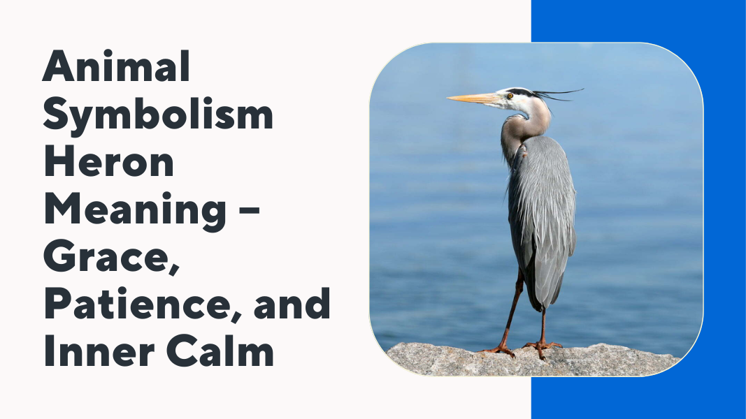 animal symbolism heron