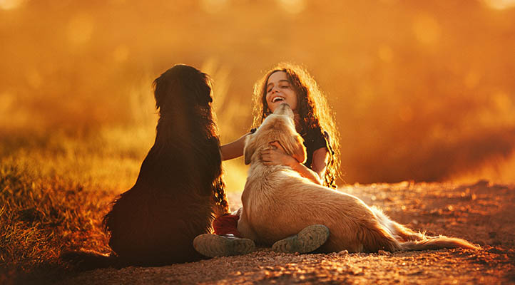 Animal Lover Symbolism