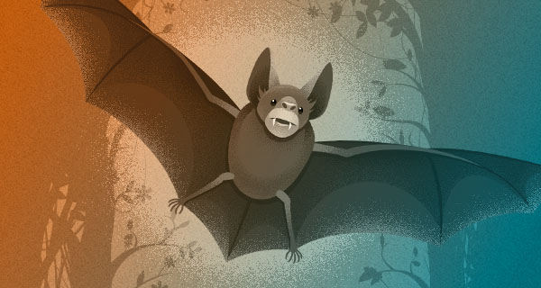 Bat Animal Symbolism